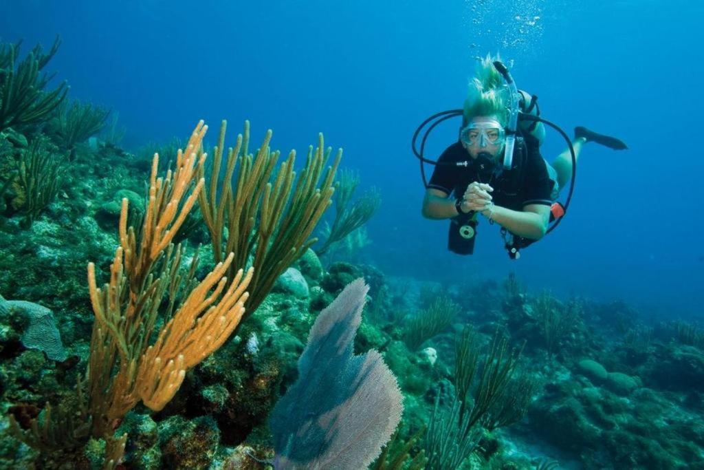 Nabua Lodge Naisisili المظهر الخارجي الصورة